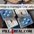 What Is Kamagra Oral Jelly viagra5